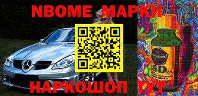 шишки Кимры