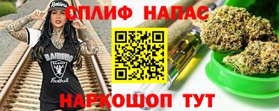 шишки Кимры