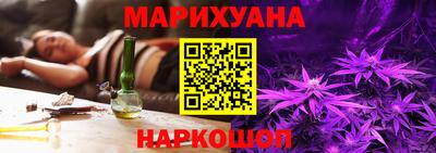 хмурый Кингисепп