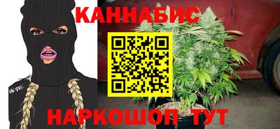 шишки Кимры