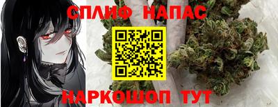 шишки Кимры