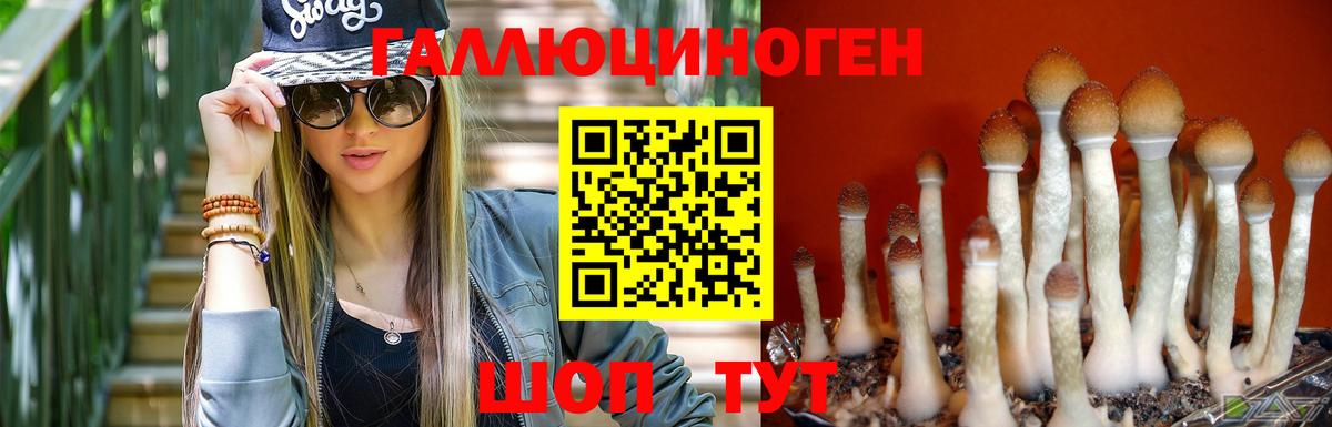 Кохма  Псилоцибиновые грибы прущие грибы  Псилоцибиновые грибы Magic Shrooms  Вход с VPN 